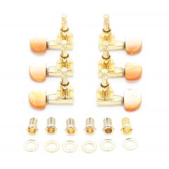 Takamine MECANIQUES FOLK JEU GOLD BOUT.ECAILLE MFJ158GEC - Vue 2